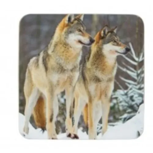 Mars & More glasonderzetter 2 Wolven